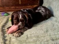 processed/90cf4e8e-6c9a-416f-af77-f1ec7d19d841/listing/ffe0121f-573b-4c9c-97b8-2c4d27ada4dd/664a2512-6afc-4bc2-99f5-10e7ccfd6e92