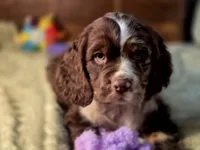 processed/90cf4e8e-6c9a-416f-af77-f1ec7d19d841/listing/ffe0121f-573b-4c9c-97b8-2c4d27ada4dd/7cf0eaf2-1f17-41c5-ae93-5134f06ab25b