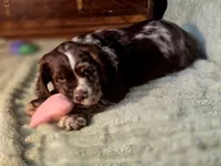 processed/90cf4e8e-6c9a-416f-af77-f1ec7d19d841/listing/ffe0121f-573b-4c9c-97b8-2c4d27ada4dd/844a0d6f-822f-4178-9114-58ad0a512d2e