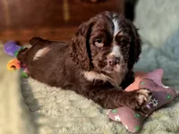 processed/90cf4e8e-6c9a-416f-af77-f1ec7d19d841/listing/ffe0121f-573b-4c9c-97b8-2c4d27ada4dd/b0762008-7372-467d-b989-bd578ebb769c