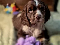 processed/90cf4e8e-6c9a-416f-af77-f1ec7d19d841/listing/ffe0121f-573b-4c9c-97b8-2c4d27ada4dd/fcf24a13-f93d-4e23-bae3-4105fb2e06e9