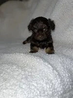 processed/90d69c0e-d033-45b9-8490-5521e5f6cf32/facility/c583cb75-ee47-4684-aed1-e1e1f175d226