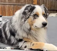 processed/90da60c8-99db-46c0-82bf-8308e0b44ba2/facility/fd87b18a-267b-4805-a3de-42340883d41e