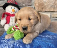 processed/90e18b78-9226-4bf2-b9b0-f83e94b93983/listing/d102bdc9-10c5-41fc-adf4-befce141dd02/19f7fdc6-1ca6-4aff-a709-8301ae747094