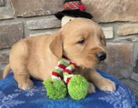 processed/90e18b78-9226-4bf2-b9b0-f83e94b93983/listing/d102bdc9-10c5-41fc-adf4-befce141dd02/86763dd0-f9de-4af2-aa57-9f4a86dcd4c5