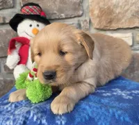 processed/90e18b78-9226-4bf2-b9b0-f83e94b93983/listing/d102bdc9-10c5-41fc-adf4-befce141dd02/d70fa8dc-bda3-4f8e-a729-1e8ec61a3188