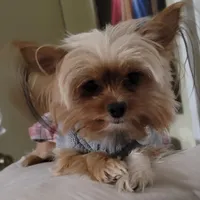 processed/90e77891-aebc-44a9-b7b8-22d527cc1364/facility/064f5a7c-5a08-4623-91ca-e094f1093982