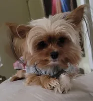 processed/90e77891-aebc-44a9-b7b8-22d527cc1364/facility/064f5a7c-5a08-4623-91ca-e094f1093982