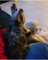 processed/90e77891-aebc-44a9-b7b8-22d527cc1364/facility/308ba6d7-7d86-4db6-a7d8-19ea407f3a98