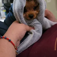 processed/90e77891-aebc-44a9-b7b8-22d527cc1364/facility/4a4519ab-73bd-4d8c-a52d-80eb0226b384