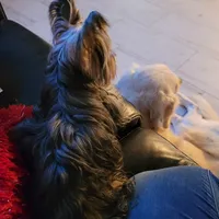 processed/90e77891-aebc-44a9-b7b8-22d527cc1364/facility/63b380f3-fa53-4f95-a6f3-0b6a7fafec6c