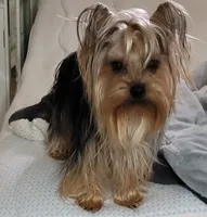 processed/90e77891-aebc-44a9-b7b8-22d527cc1364/facility/78bb40f9-8362-499a-9115-be0966dbdf8b