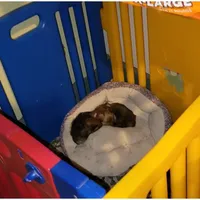 processed/90e77891-aebc-44a9-b7b8-22d527cc1364/facility/7c4c36ca-ff82-4214-be0e-09b06959b5da