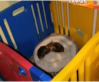 processed/90e77891-aebc-44a9-b7b8-22d527cc1364/facility/7c4c36ca-ff82-4214-be0e-09b06959b5da