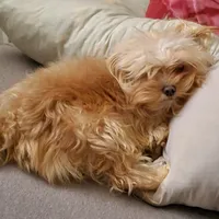 processed/90e77891-aebc-44a9-b7b8-22d527cc1364/facility/83bba6a5-976e-467a-8425-918e92cd23a5