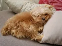 processed/90e77891-aebc-44a9-b7b8-22d527cc1364/facility/83bba6a5-976e-467a-8425-918e92cd23a5