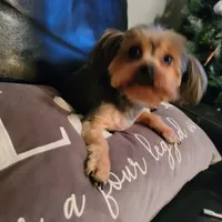 processed/90e77891-aebc-44a9-b7b8-22d527cc1364/facility/92423652-bd5f-45a5-b70b-925f34691c1b