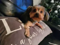 processed/90e77891-aebc-44a9-b7b8-22d527cc1364/facility/92423652-bd5f-45a5-b70b-925f34691c1b