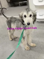 processed/90ed18cf-1eac-474b-8d94-16dfb45fb331/listing/c89f1021-a118-41d6-afb6-d6e3a1ec0e93/568cc365-a57c-4040-8e4d-e3703c28fabc