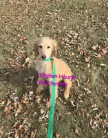 processed/90ed18cf-1eac-474b-8d94-16dfb45fb331/listing/d452d938-8d4a-447f-95ab-beca058f8f41/29c16ddd-b8f2-497e-baca-046874a5e5b0