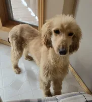 processed/90ed18cf-1eac-474b-8d94-16dfb45fb331/listing/d452d938-8d4a-447f-95ab-beca058f8f41/37a8219f-8b4a-4911-a2c6-9f1424078ada