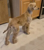 processed/90ed18cf-1eac-474b-8d94-16dfb45fb331/listing/d452d938-8d4a-447f-95ab-beca058f8f41/6e4c14f5-d573-4567-a359-03f341dbf60a