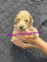 processed/90ed18cf-1eac-474b-8d94-16dfb45fb331/listing/d452d938-8d4a-447f-95ab-beca058f8f41/a63b9faa-f336-49bc-a7d6-4426270d0840