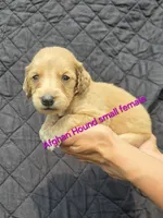 processed/90ed18cf-1eac-474b-8d94-16dfb45fb331/listing/d452d938-8d4a-447f-95ab-beca058f8f41/bd6d4fc5-0200-4b51-8432-31a0b8ed6fee