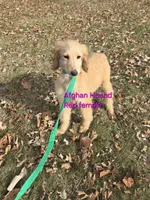 processed/90ed18cf-1eac-474b-8d94-16dfb45fb331/listing/d452d938-8d4a-447f-95ab-beca058f8f41/d3803e14-d3c4-43ad-9d12-2c0293c6a159