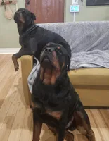 processed/90eef3b5-cda5-47f0-83d7-cdd6dc0718bc/facility/acede6b8-2a50-4911-bcf2-57db7ff221b1