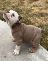 processed/90f87e5f-8169-4e22-842e-1b42114c521b/listing/9f517111-1bb9-4fbd-b5de-b1068a9dfd7a/b4a727e8-d69d-4f5d-9c8a-b2a732ab39a7