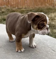 processed/90f87e5f-8169-4e22-842e-1b42114c521b/listing/db27ddc1-72e3-4f61-aa9d-37aaf5183f9b/5d836720-b9aa-4bd0-8a34-be94233ae0ad