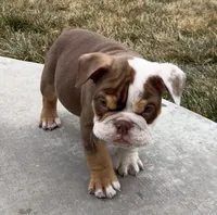 processed/90f87e5f-8169-4e22-842e-1b42114c521b/listing/db27ddc1-72e3-4f61-aa9d-37aaf5183f9b/61479c75-31b0-4f0f-bc80-ff6a30c2ee35