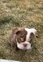 processed/90f87e5f-8169-4e22-842e-1b42114c521b/listing/db27ddc1-72e3-4f61-aa9d-37aaf5183f9b/6bf0426a-a477-48f3-a261-817a64767189