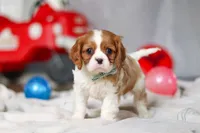 processed/90fc466a-4d4c-4c6b-b7fe-bb0e056616ab/listing/8e56f718-59aa-42fb-b0df-d81d3a1c6728/1a2c9aa6-ade6-467e-91c2-7748c769ca30