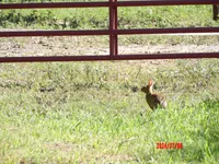 processed/90fd1411-57b0-49ec-89f6-8de9d90faf77/facility/7951b3ff-78e2-415c-979e-7183ce86f8cf