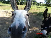 processed/90fd1411-57b0-49ec-89f6-8de9d90faf77/facility/86b30b83-19f3-4c82-a7bc-c62e8feacfd9