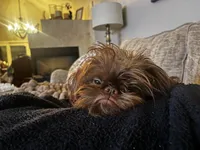 processed/91036f31-962b-4ad1-8ce2-9b7423276535/listing/997bca6e-4513-4059-ae7c-aad18879ea51/100213ec-ff82-46cb-8537-1ee1e265b50c