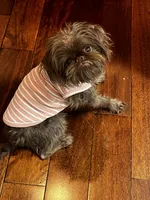 processed/91036f31-962b-4ad1-8ce2-9b7423276535/listing/997bca6e-4513-4059-ae7c-aad18879ea51/35998133-8500-44dc-807e-ea7c2e256b92