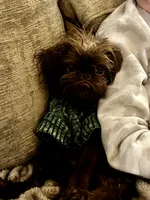 processed/91036f31-962b-4ad1-8ce2-9b7423276535/listing/997bca6e-4513-4059-ae7c-aad18879ea51/3c5a1959-22ef-4ae3-80a5-f8f0904438b6