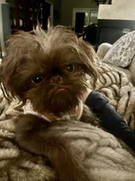 processed/91036f31-962b-4ad1-8ce2-9b7423276535/listing/997bca6e-4513-4059-ae7c-aad18879ea51/8fd7e0b4-6938-4a10-ae80-31669e45711f