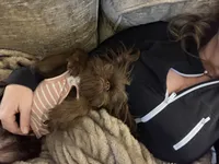 processed/91036f31-962b-4ad1-8ce2-9b7423276535/listing/997bca6e-4513-4059-ae7c-aad18879ea51/c6f5d28a-0432-417d-aed9-86230030588e