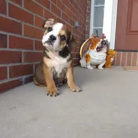 processed/9103f4dd-3fb8-45a1-8626-29ff9c922aa1/facility/264f13d6-e02f-44eb-bf92-45bcfb3f76e7