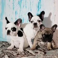 processed/9103f4dd-3fb8-45a1-8626-29ff9c922aa1/facility/5bb1b660-695b-471f-bb2c-362053ea9411