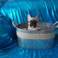 processed/9103f4dd-3fb8-45a1-8626-29ff9c922aa1/facility/cb333698-ef27-4b87-a0f3-fb6f938b679d