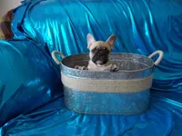 processed/9103f4dd-3fb8-45a1-8626-29ff9c922aa1/facility/cb333698-ef27-4b87-a0f3-fb6f938b679d