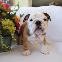 processed/9103f4dd-3fb8-45a1-8626-29ff9c922aa1/facility/d527a98d-6d57-4170-a7fa-bdc0bfcfeacb