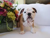 processed/9103f4dd-3fb8-45a1-8626-29ff9c922aa1/facility/d527a98d-6d57-4170-a7fa-bdc0bfcfeacb