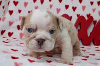 processed/9103f4dd-3fb8-45a1-8626-29ff9c922aa1/listing/7f86a887-0406-42e8-9ef2-2d454ed1e284/26badaea-feec-4dd0-a4fe-d085dac6f36d