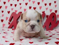 processed/9103f4dd-3fb8-45a1-8626-29ff9c922aa1/listing/7f86a887-0406-42e8-9ef2-2d454ed1e284/30f2dde5-0bd5-499a-8b70-b706697e6503